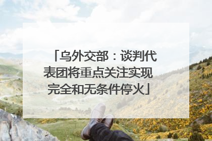 乌外交部：谈判代表团将重点关注实现完全和无条件停火