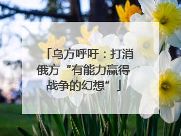 乌方呼吁：打消俄方“有能力赢得战争的幻想”