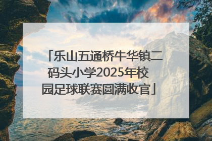 乐山五通桥牛华镇二码头小学2025年校园足球联赛圆满收官