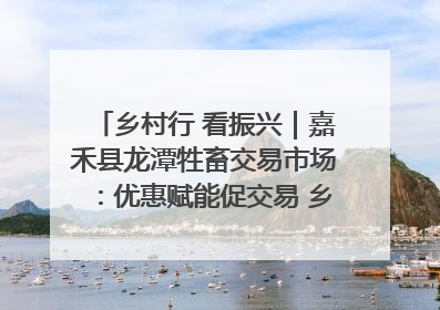 乡村行 看振兴｜嘉禾县龙潭牲畜交易市场：优惠赋能促交易 乡村振兴添动能