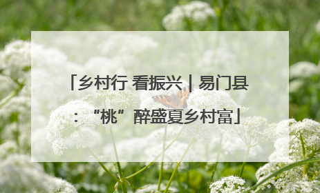 乡村行 看振兴｜易门县：“桃”醉盛夏乡村富