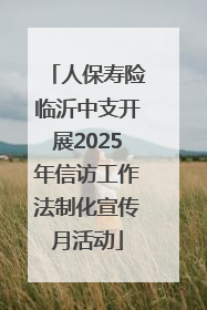 人保寿险临沂中支开展2025年信访工作法制化宣传月活动