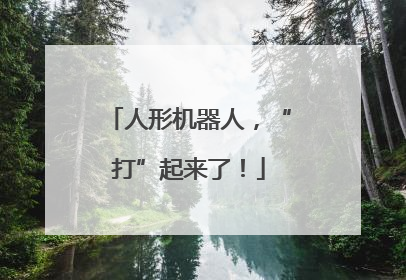 人形机器人，“打”起来了！