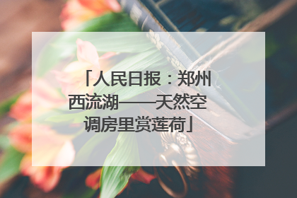 人民日报：郑州西流湖——天然空调房里赏莲荷