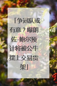 争冠队或有意？曝朗佐-鲍尔预计将被公牛摆上交易货架