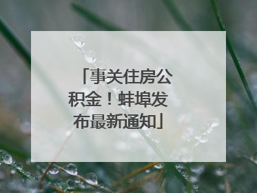 事关住房公积金！蚌埠发布最新通知