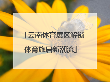 云南体育展区解锁体育旅居新潮流