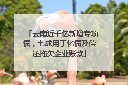 云南近千亿新增专项债，七成用于化债及偿还拖欠企业账款
