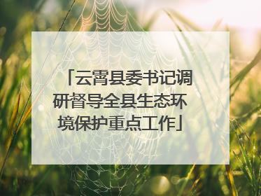 云霄县委书记调研督导全县生态环境保护重点工作