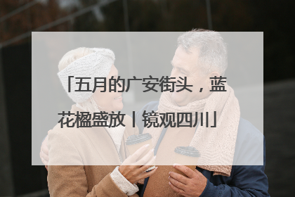 五月的广安街头，蓝花楹盛放丨镜观四川