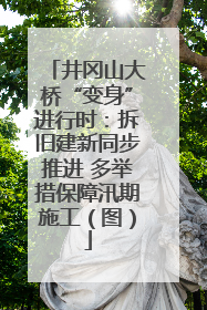 井冈山大桥“变身”进行时：拆旧建新同步推进 多举措保障汛期施工（图）