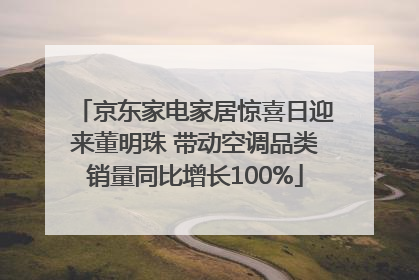 京东家电家居惊喜日迎来董明珠 带动空调品类销量同比增长100%