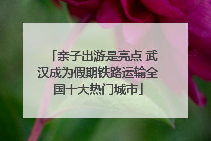 亲子出游是亮点 武汉成为假期铁路运输全国十大热门城市