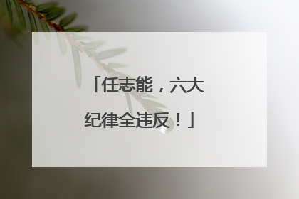 任志能，六大纪律全违反！