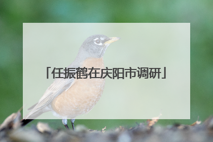 任振鹤在庆阳市调研