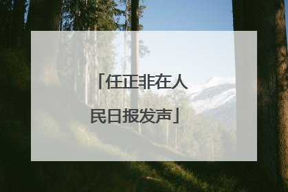 任正非在人民日报发声