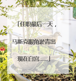 任职最后一天，马斯克眼角淤青出现在白宫……
