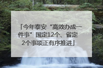 今年泰安“高效办成一件事”国定12个、省定2个事项正有序推进