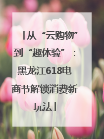 从“云购物”到“趣体验”：黑龙江618电商节解锁消费新玩法