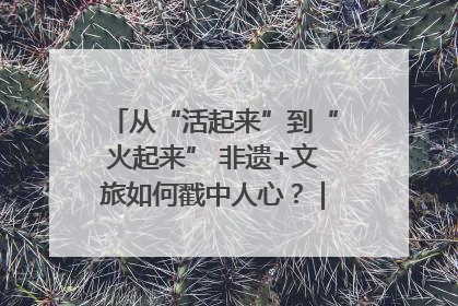 从“活起来”到“火起来” 非遗+文旅如何戳中人心？｜文旅融合看四川