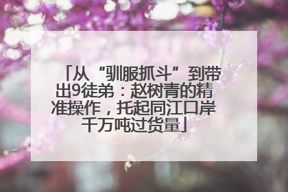 从“驯服抓斗”到带出9徒弟：赵树青的精准操作，托起同江口岸千万吨过货量