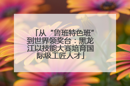 从“鲁班特色班”到世界领奖台：黑龙江以技能大赛培育国际级工匠人才