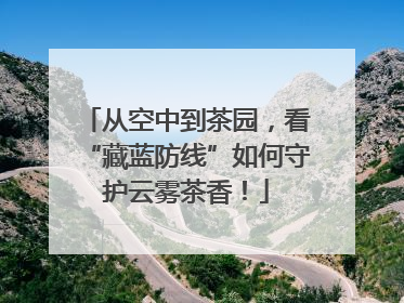 从空中到茶园，看“藏蓝防线”如何守护云雾茶香！