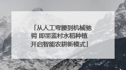 从人工弯腰到机械驰骋 即墨蓝村水稻种植开启智能农耕新模式
