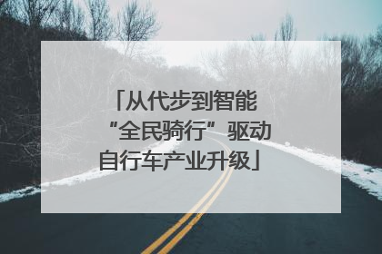 从代步到智能 “全民骑行”驱动自行车产业升级