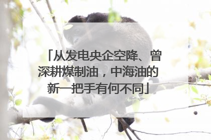 从发电央企空降、曾深耕煤制油，中海油的新一把手有何不同