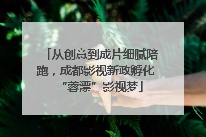 从创意到成片细腻陪跑，成都影视新政孵化“蓉漂”影视梦