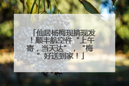仙居杨梅现摘现发！顺丰航空件“上午寄，当天达”，“梅”好送到家！