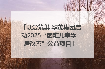 以爱筑巢 华茂集团启动2025“困难儿童学居改善”公益项目