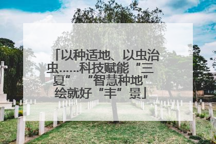 以种适地、以虫治虫……科技赋能“三夏” “智慧种地”绘就好“丰”景