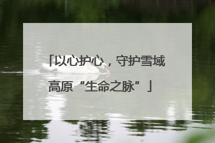 以心护心，守护雪域高原“生命之脉”