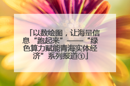 以数绘图，让海量信息“跑起来”——“绿色算力赋能青海实体经济”系列报道①
