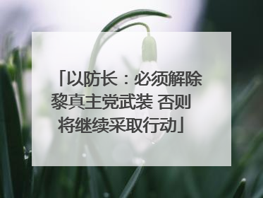 以防长：必须解除黎真主党武装 否则将继续采取行动