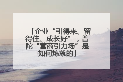 企业“引得来、留得住、成长好”，普陀“营商引力场”是如何炼就的