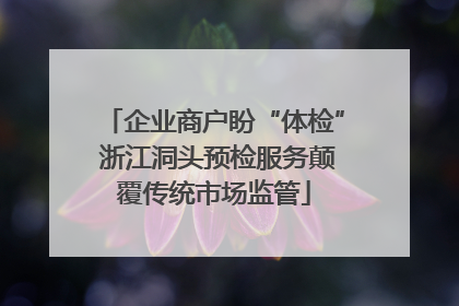 企业商户盼“体检” 浙江洞头预检服务颠覆传统市场监管