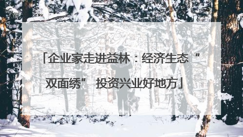 企业家走进益林：经济生态“双面绣” 投资兴业好地方