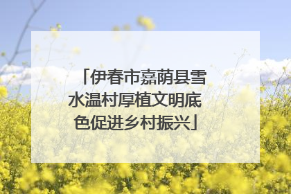 伊春市嘉荫县雪水温村厚植文明底色促进乡村振兴