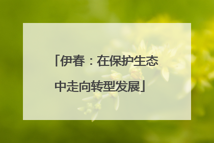 伊春：在保护生态中走向转型发展