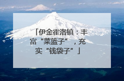 伊金霍洛镇：丰富“菜篮子”，充实“钱袋子”
