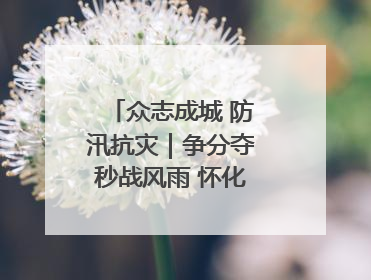 众志成城 防汛抗灾｜争分夺秒战风雨 怀化市全力以赴守护人民群众安全