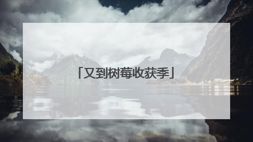 又到树莓收获季