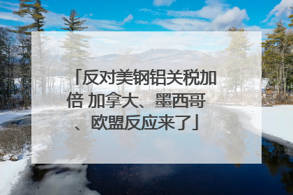 反对美钢铝关税加倍 加拿大、墨西哥、欧盟反应来了