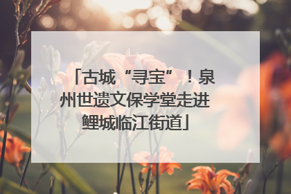 古城“寻宝”！泉州世遗文保学堂走进鲤城临江街道