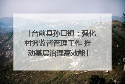 台前县孙口镇：强化村务监督管理工作 推动基层治理高效能