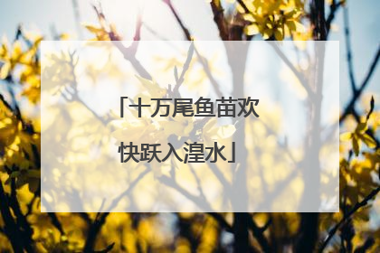 十万尾鱼苗欢快跃入湟水