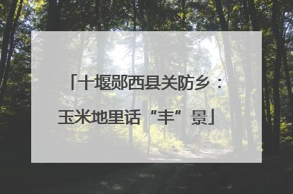 十堰郧西县关防乡：玉米地里话“丰”景